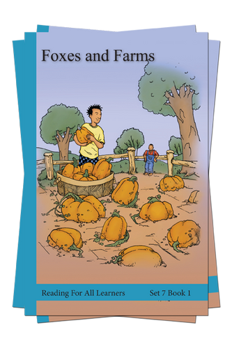 Set 7 Reading For All Learners Color Edition - Academic Success