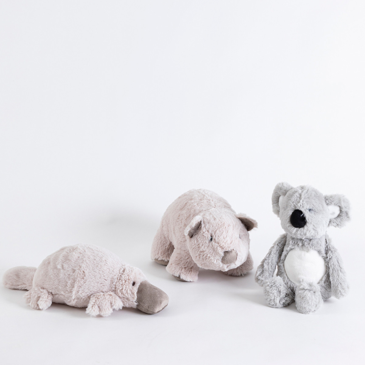 Wilfred the Wombat Plush Toy 