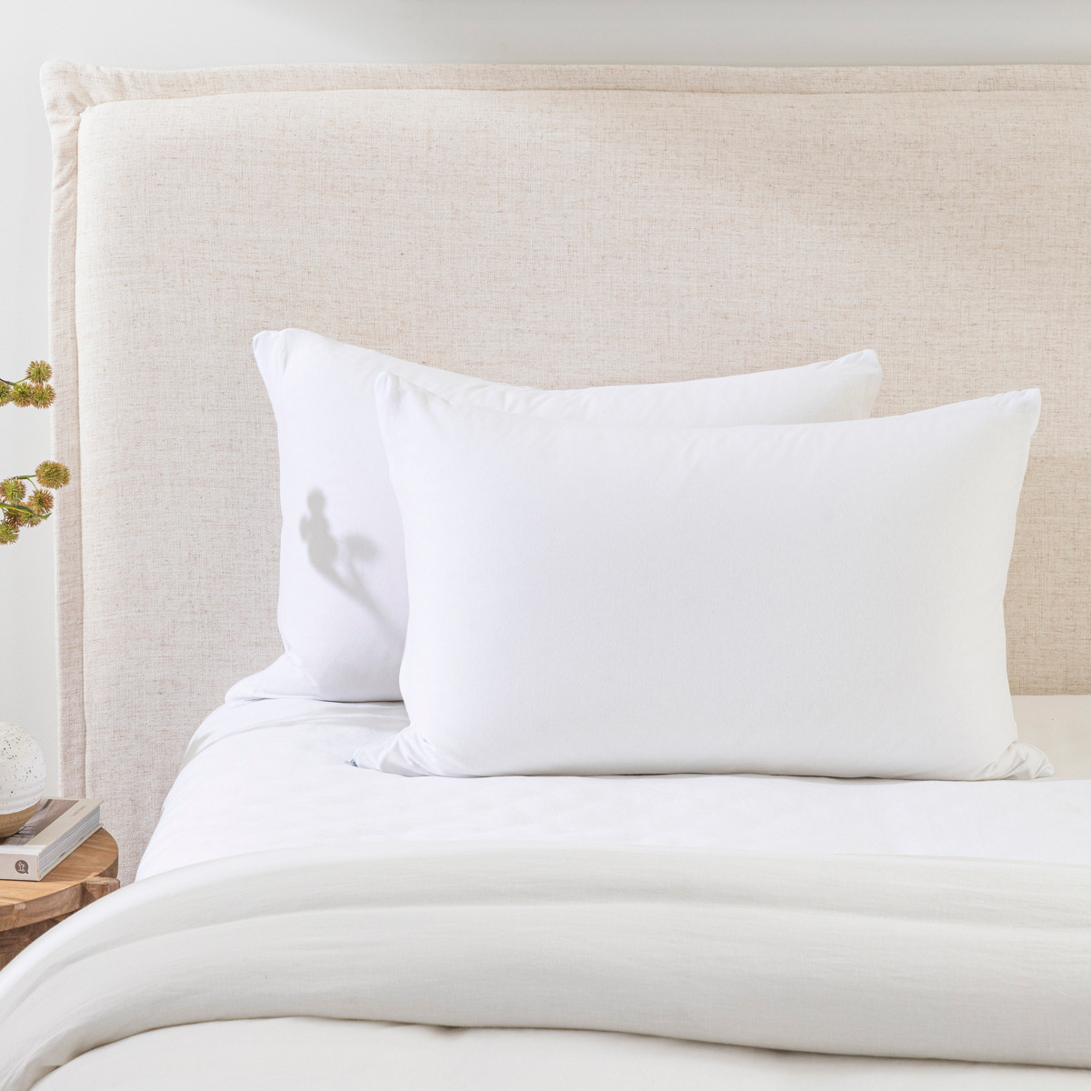 Cotton Jersey Standard Pillow Protector Pillow Talk