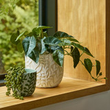 Vine Green Cement Decorative Pot [HABHVINPW24A]