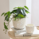 Vine Natural Cement Decorative Pot [HABHVINPW24B]