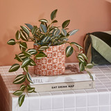 Artificial Zebrina Hanging Plant [MUSHZENPW24]