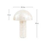 Calie 40cm Table Lamp [MUSLCALAP24]