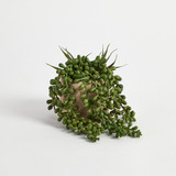 Bartel Potted Artificial Succulent [MUSHBARPSW25]