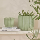 Tula Frill Planter [MUSHTULPW25]
