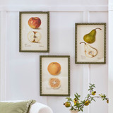 Grandmas Fruit Bowl Framed Printed Wall Art in Apple, Orange, Pear by MUSE | 30x40cm - Pillow Talk