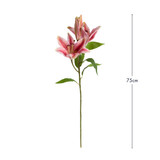 Budding Tiger Lily Stem [MUSHBUDTSS25]