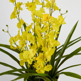 Artificial Potted Spring Spider Orchid [MUSHPOTSOS25]