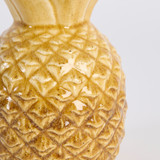 Taika Pineapple [MUSHTAIPS25]