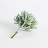 Artificial Succulent Minima Pick [ASPLSUCCU15B_MIN]