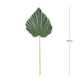 Artificial Dried Soft Green Palm Stem [MUSHPALSS24D]