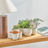 Clover Scalloped Decorative Pot in Whitewash by Habitat | Large, Small - Pillow Talk