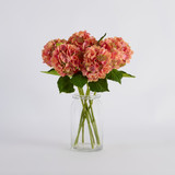 Budding Hydrangea Stem [MUSHBUDHSS25]