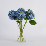 Budding Hydrangea Stem [MUSHBUDHSS25]