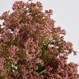 Artificial Fall Flower Spray [MUSHFALLSS25]