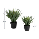 Artificial Sisal Yucca Plant [MUSHSISPS25]