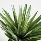 Artificial Sisal Yucca Plant [MUSHSISPS25]