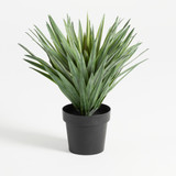 Artificial Sisal Yucca Plant [MUSHSISPS25]