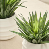 Artificial Sisal Yucca Plant [MUSHSISPS25]