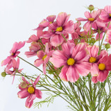 Artificial Cosmos Flower Spray [MUSHCOSSS25]