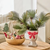 Christmas Pine Tree Stem [CHRHPINSS24]