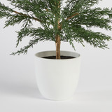 Parker Pine Potted Artifical Christmas Tree [CHRHPARTS25]