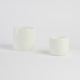 Starry Night Christmas Decoration Pot [CHRHSTARPS25]