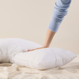 Gentle Dreams U Shape Pillow [ESSBGDUSHP25]