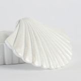 Cove Shell Jar [MUSHCOVSJS25]