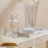 Cove Shell Jar [MUSHCOVSJS25]