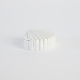 Cove Shell Jar [MUSHCOVSJS25]