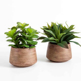 Eden Artificial Yucca Potted Succulent [MUSLEDENP19C]