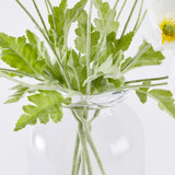 Artificial Wild Poppy Stem [MUSHWILSS26]