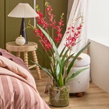 Freya Artificial Spider Orchid in Vase [MUSHFREOW26]