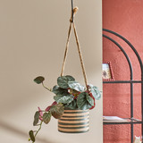 Saffron Stripe Hanging Planter in Olive by MUSE | Pillow Talk