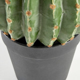 Artificial Barrel Cactus [MUSHBARCW26]