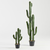 Artificial Mexican Cactus [MUSHMEXCW26]