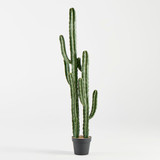 Artificial Mexican Cactus [MUSHMEXCW26]