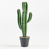Artificial San Pedro Cactus [MUSHSANCW26]
