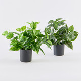 Artificial Mini Pothos Light Green Plant [MUSHMINPW26B]