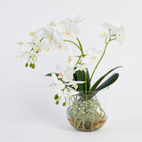 Flora Artificial Phalaenopsis Orchid in Vase [MUSHFLOOW26]