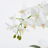 Flora Artificial Phalaenopsis Orchid in Vase [MUSHFLOOW26]