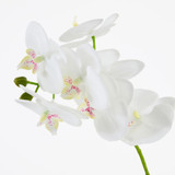 Flora Artificial Phalaenopsis Orchid in Vase [MUSHFLOOW26]