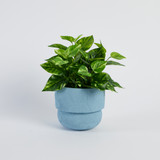 Clara Curve Planter [HABHCLAPW26]