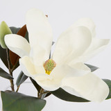 Meadow Artificial Magnolia in Vase [MUSHMEAMVW26]