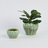 Dolly Sage Decorative Pot [MUSHDOLPW26A]