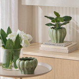 Dolly Sage Decorative Pot [MUSHDOLPW26A]