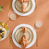 Ashra Rust Fringed Napkin Set of 4 [MUSLASHN4S25_RUS]