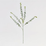 Dusty Eucalyptus Stem [MUSHDUSESW26]