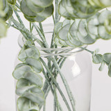 Dusty Eucalyptus Stem [MUSHDUSESW26]